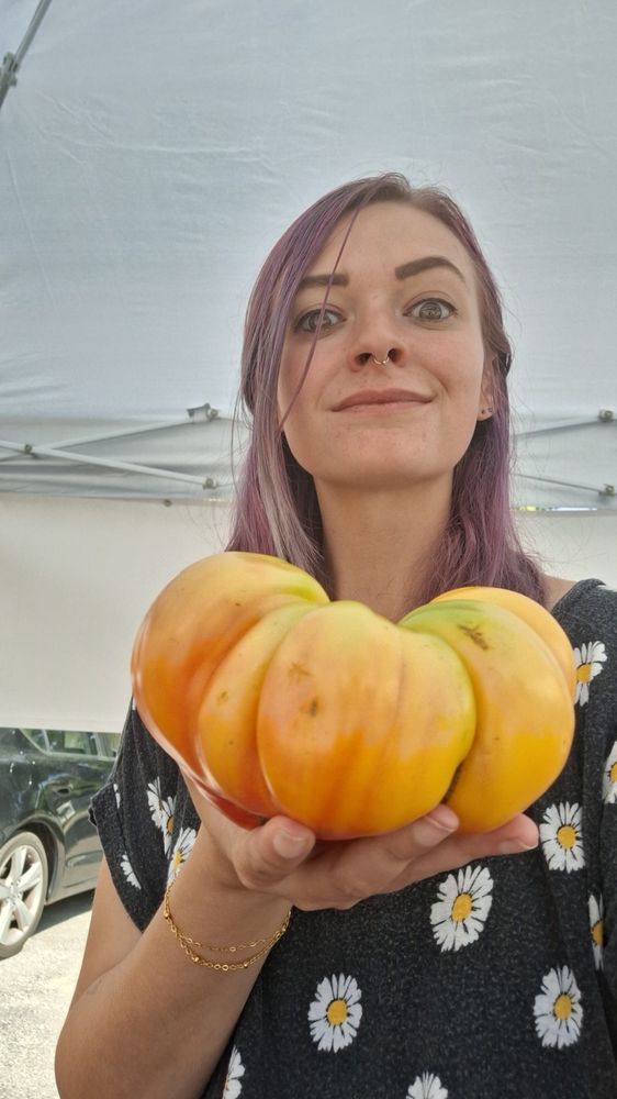Tomatoes and seasonal crops from the Hudson Valley