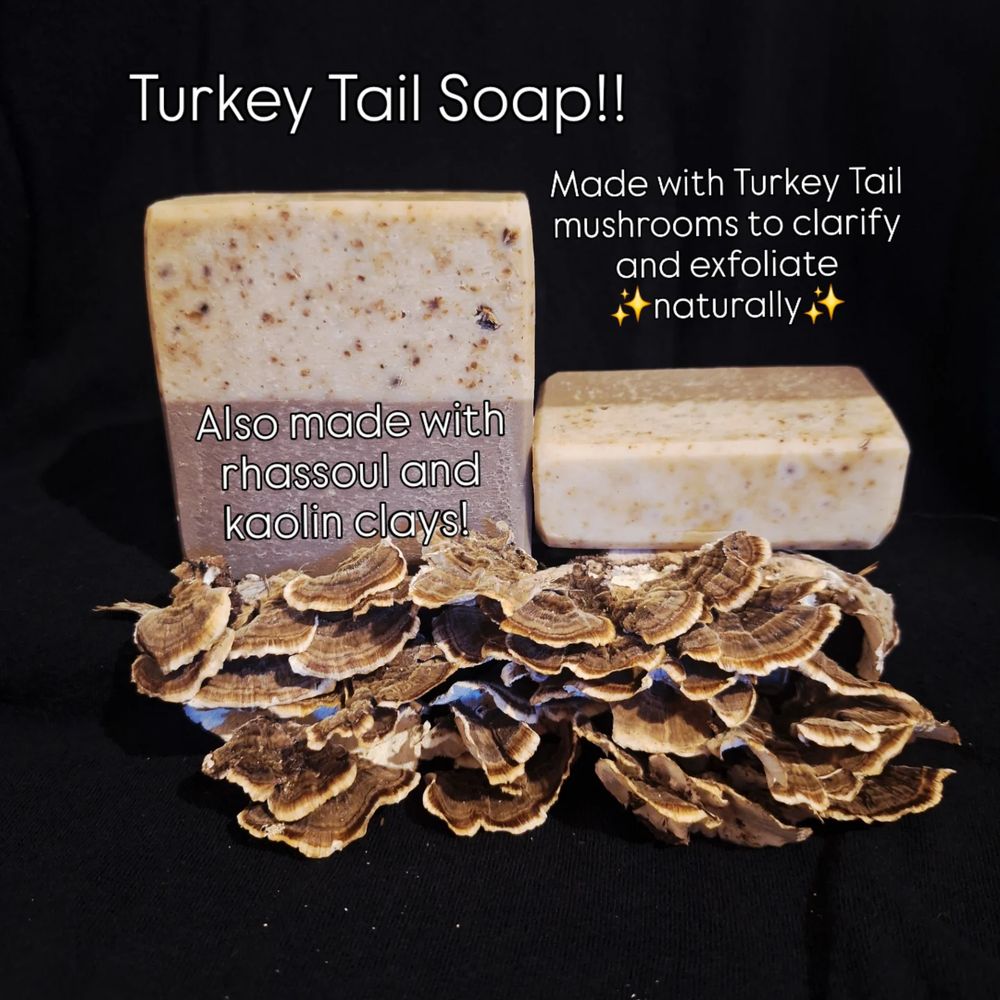 Turkey Tail tallow bar